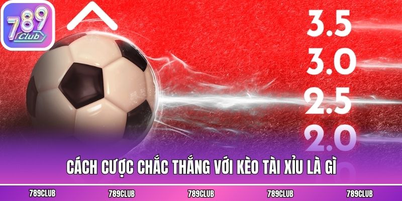 Cách cược chắc thắng với kèo tài xỉu là gì