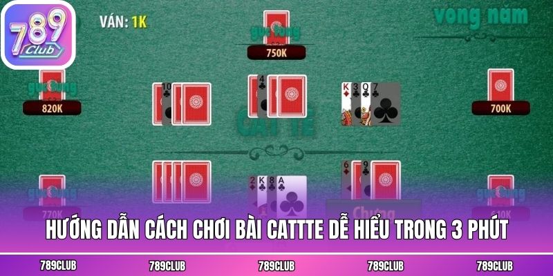 Hướng dẫn cách chơi bài cattte dễ hiểu trong 3 phút