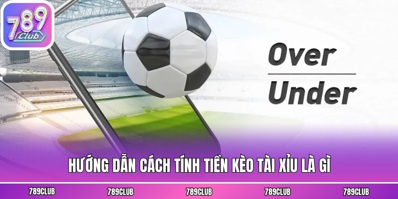 Hướng dẫn cách tính tiền kèo tài xỉu là gì