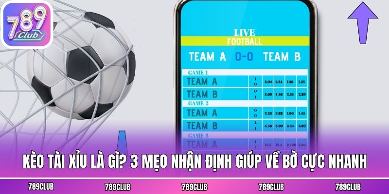 Kèo Tài Xỉu Là Gì? 3 Mẹo Nhận Định Giúp Về Bờ Cực Nhanh