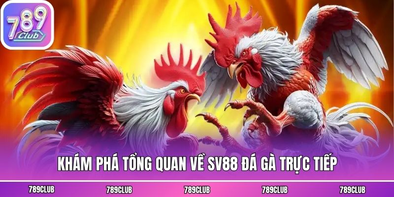 Khám phá tổng quan về SV88 đá gà trực tiếp