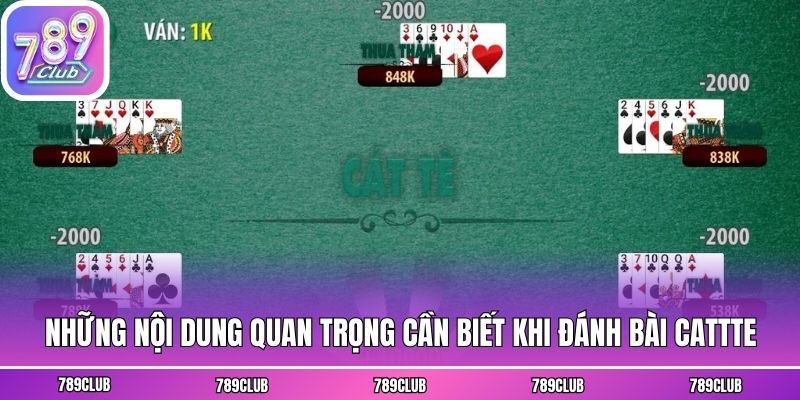 Những nội dung quan trọng cần biết khi đánh bài cattte
