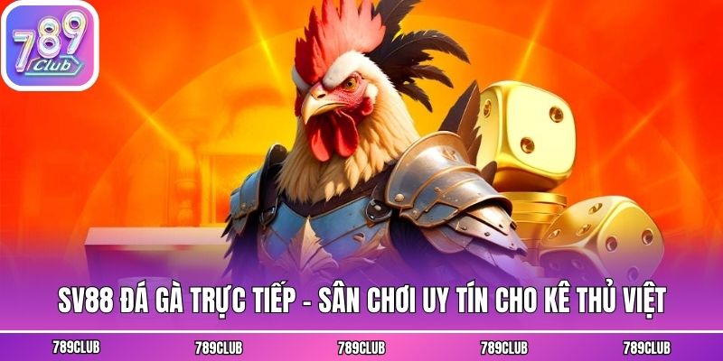SV88 Đá Gà Trực Tiếp - Sân Chơi Uy Tín Cho Kê Thủ Việt