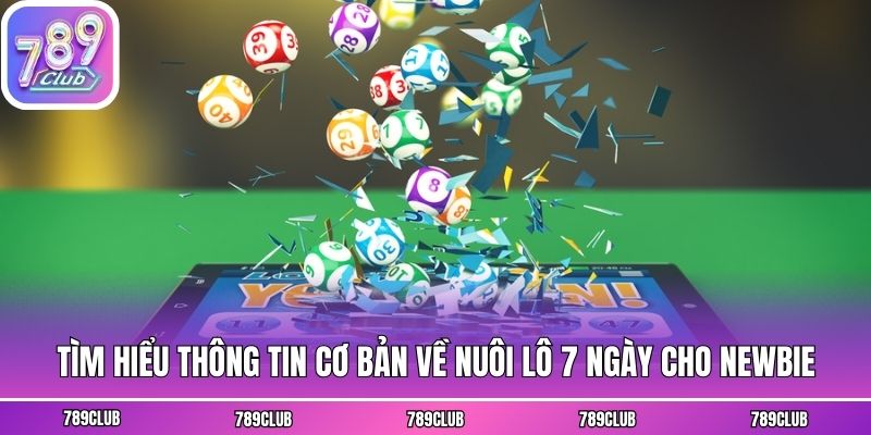 Tìm hiểu thông tin cơ bản về nuôi lô 7 ngày cho newbie